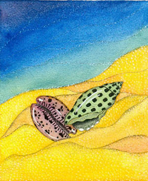 Sea Shells